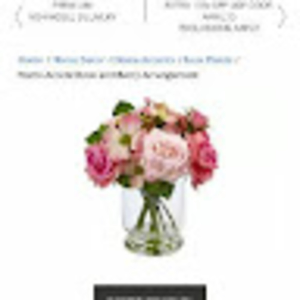 Meet your Posher, Denise